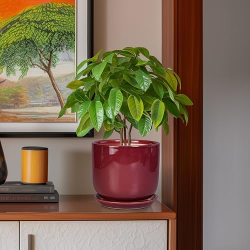 Ceramic Flower Pot for Plants - Cylinder Modern 8 Inch Plant Pot Indoor with Drainage Hole and Saucer, Home Office Room Porch Decor, Red - Image 2