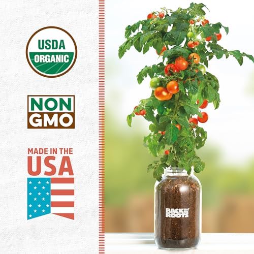 Back to the Roots Cherry Tomato Organic Windowsill Planter Kit - Grows Year Round, Includes Everything Needed For Planting - Image 2