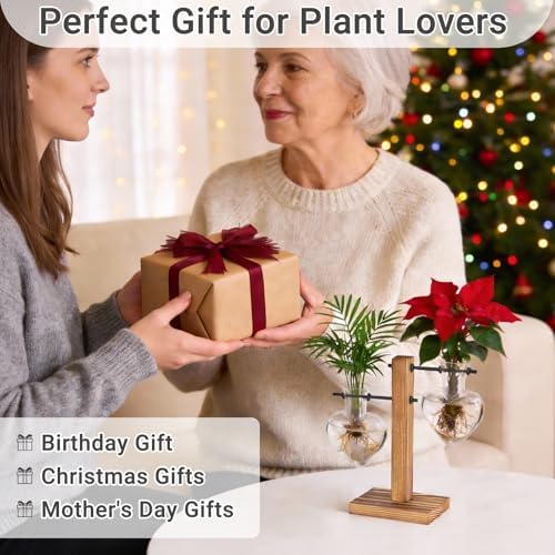 Mkono Propagation Stations,2 Heart Shaped Glass Plant Vases with Wood Stand - Image 5