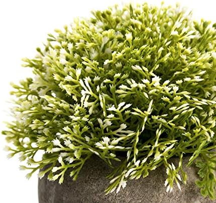 Velener White Mini Artificial Plant Topiary Ball Pot Set- Magnolia Flowers Cottagecore Decor Indoor Plant Shelf Home Office Small Desk Decorations Green Room Accessories Bathroom Kitchen Counter Aloe - Image 2