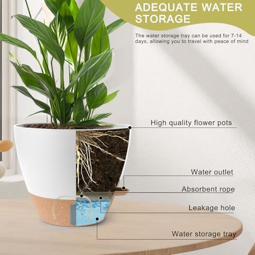 Self Watering Pots for Indoor Plants, 3 Pack 12/10/8 Inch, Large Planter with Water Reservoir, Modern Decorative Flower Pots for Home & Office White - Image 3