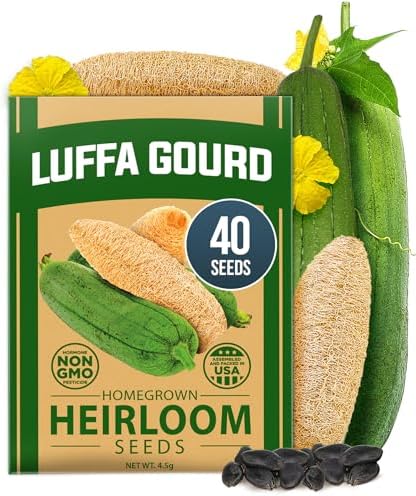 HOME GROWN Luffa Loofah Gourd Seeds, 40 Seeds, Luffa aegyptiaca by HOMEGROWN