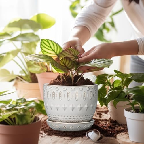 G EPGardening Ceramic Plant Pot - Succulent Pots with Drainage Hole and Saucer 5 Inch Planter for Indoor Plants Outdoor Decorative Round Flower Pot White - Image 4