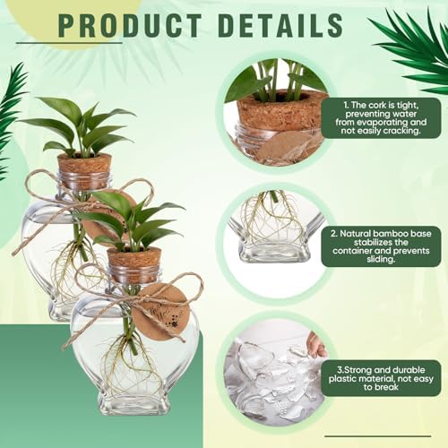 24 Pack 3.74'' Heart Plastic Plant Propagation Stations with Hole Lid - Image 4