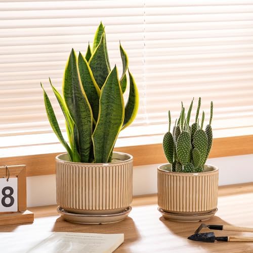 SURE YUESI Ceramic Plant Pots Set of 3, Indoor Outdoor Planters with Drainage Hole and Saucer, Ceramic Flower Pots for Indoor Plants, 4.3+5.5+6.8 Inch, Home, Garden, Patio and Office, Glossy Beige - Image 7