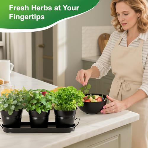 Herb Garden Planter Indoor Kit – 6 Metal Pots with 2 Trays for Windowsill & Kitchen Counter – Modern Decorative Indoor Planters for Herbs, Succulents & Small Plants, Black - Image 2