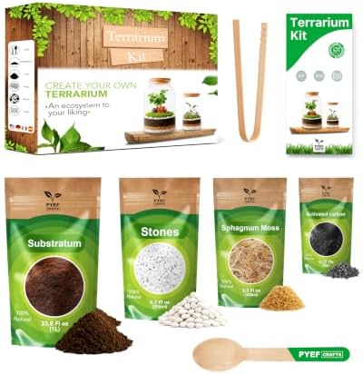 Terrarium Kit, Succulents & Indoor Plants Set DIY by PYEFCRAFTS