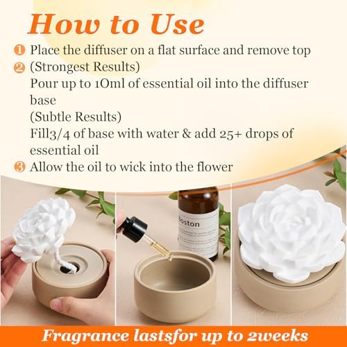 Honeydak 1 Pcs Ceramic Essential Oil Diffuser, Non Electric,Succulent - Image 2