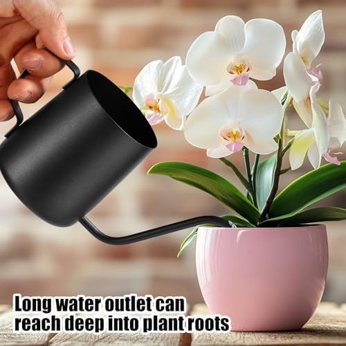 Plant Watering Can, 12 oz / 350 ml Stainless Steel Plant Watering Pot Small Watering Can with Long Spout for Indoor House Plants Flower Bonsai Outdoor Garden - Image 5