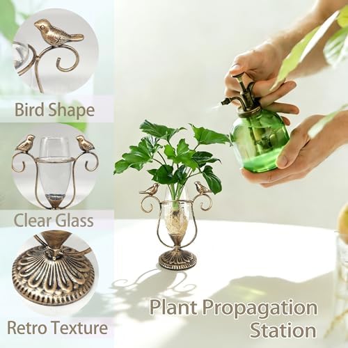 Desktop Glass Propagation Vases, Plant Terrarium with Metal Stand - Image 4