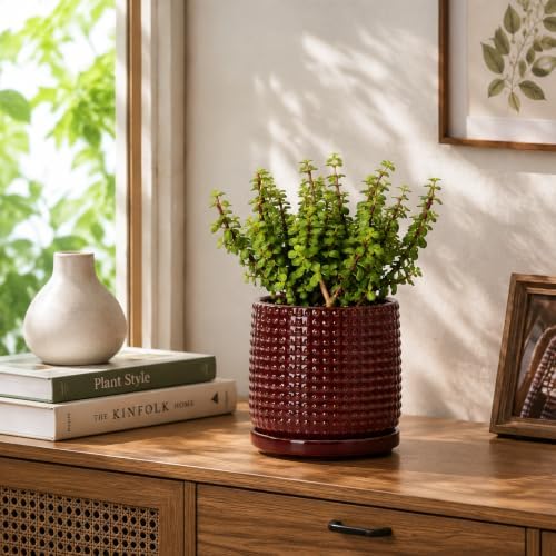 D'vine Dev Beaded Ceramic Pot with Saucer, 6 in, Burgundy Red, 27-C-X-M - Image 2