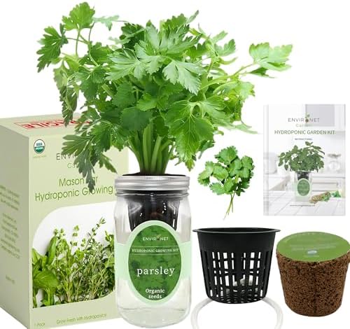 Hydroponic Herb Growing Kit, Self-Watering Mason Jar Herb Garden Starter Kit Indoor, Windowsill Herbs Garden, Grow Your Own Herbs from Organic Seeds (Parsley) - Image 2