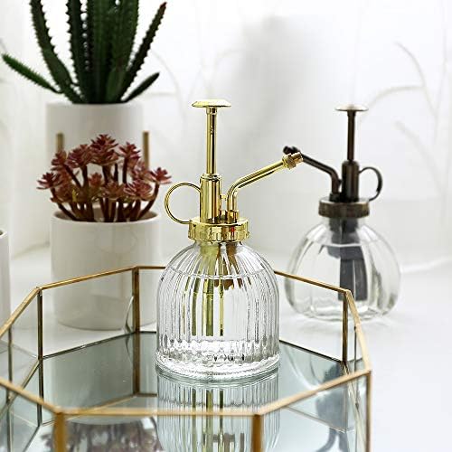 Glass Plant Mister Spray Bottle, Vintage Plant Water Spritzer, Succulent Watering Bottle with Gold Top Pump, Decorative Glass Sprayer Mister Small Watering Can for Indoor Houseplant - Clear - Image 4