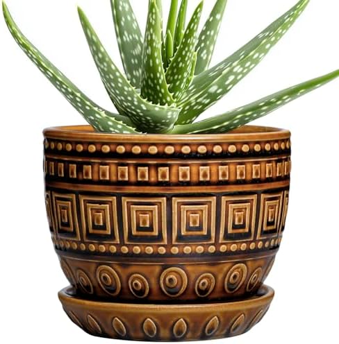 G EPGardening Succulent Pot 5.5 Inch - Ceramic Plant Pot for Indoor Plants Outdoor, Round Boho Planter with Drainage Hole and Saucer, Gifts for Plant Lovers, Office Home Garden Decor, Brown by GEPGardening