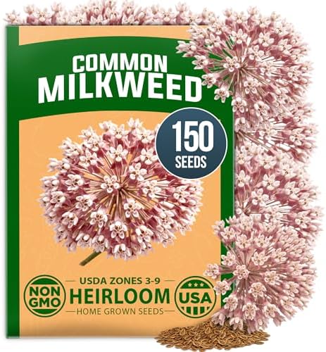 HOME GROWN Common Milkweed 150 Flower Seeds Asclepias syriaca by HOMEGROWN