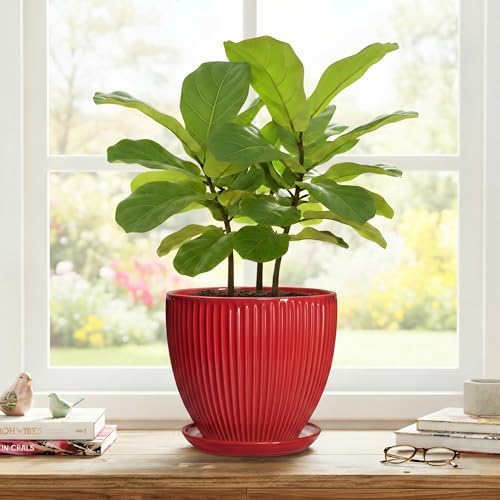 Ceramic Flower Pots 8 Inch, Ceramic Planters for Indoor House Plants, Decorative Plant Pots with Drainage Hole and Saucer, Modern Round Planter, Office Decor, Gifts for Men Women, Red - Image 7