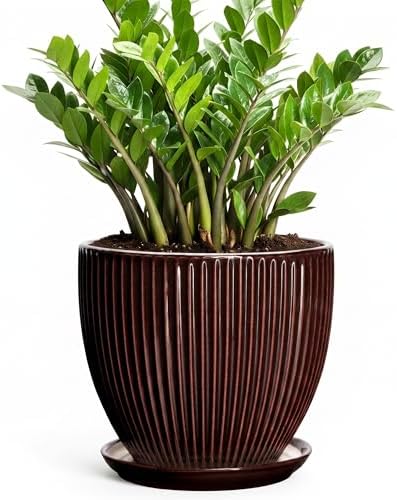 Ceramic Pots for Plants 10 Inch, Indoor Planter with Drainage Hole and Saucer, Large Round Decorative Ceramic Plant Pots, Modern Flower Planter, Patio Room Decor, Gifts for Plant Lovers, Brown by Unknown