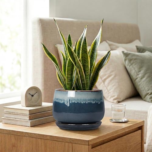 7 Inch Plant Pot Indoor, Ceramic Plant Pots, Retro Blue - Image 7