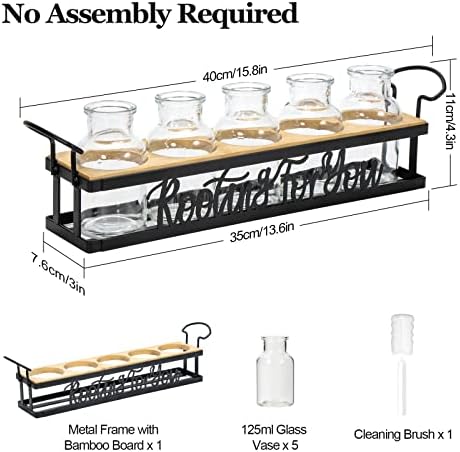 Plant Propagation Station "Rooting for You" Hydroponic Planter Vase - Image 6