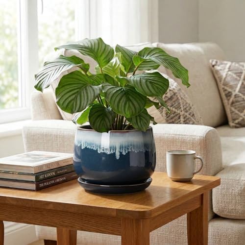 Ceramic Plant Pots, 9 Inch Ceramic Planter with Saucer, Retro Blue - Image 5