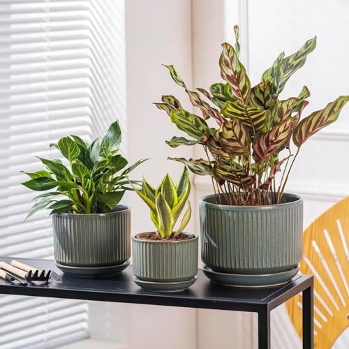SURE YUESI Ceramic Plant Pots Set of 3, Indoor Outdoor Planters with Drainage Hole and Saucer, Ceramic Flower Pots for Indoor Plants, 4.3+5.5+6.8 Inch, Home, Garden, Patio and Office, Matte Green - Image 6