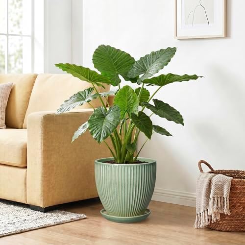 Ceramic Flower Pots, 10 Inch Plant Pot for Indoor Plants, Modern Round Planters with Drainage Hole and Saucer, Decorative Pots for Plants Indoor, Garden Home Decor, Plant Lover Gifts, Green - Image 4