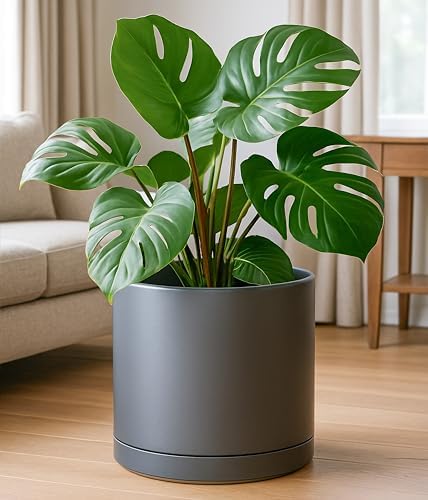 D'vine Dev 14 Inch Ceramic Planter Pot, Grey, 94-O-G-3 - Image 5