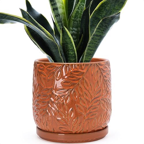 D'vine Dev Embossed Leaves Ceramic Planter, 8 in, Pumpkin, 27-A-Q-J by DvineDevPlanterPotsandStand