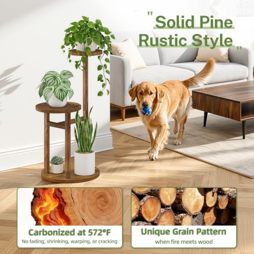 iDavosic.ly 2 Tier Wood Plant Stand Indoor Outdoor Corner Tall Shelf, Brown - Image 2