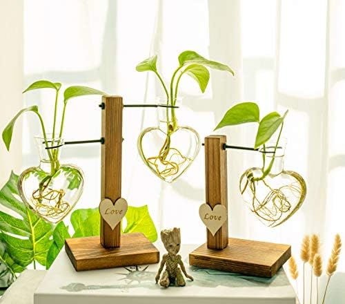 Kingbuy Heart Shaped Glass Hydroponic Vase with Retro Wooden Stand - Desktop Plant Terrarium for Bulb Planter, Water Plant Propagation Glass Vase Pot Planter Flower Desktop Decoration Home Garden - Image 3