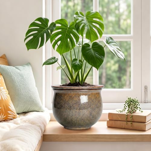 Ceramic Self Watering Pots, 8 Inch Ceramic Planter, Yellowish Brown - Image 4