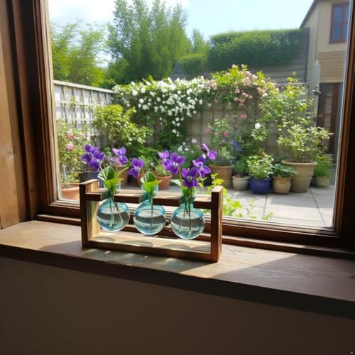 XXXFLOWER Plant Terrarium Jar Propagation Station Stand 3 Blue Bulb Vases - Image 3