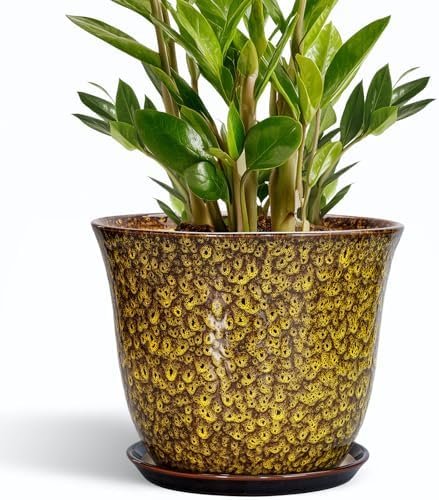 Ceramic Pots for Plants - 10 Inch Plant Pot for Indoor Outdoor, Round Planter with Drainage Hole and Saucer, Modern Flower Pot, Decorative Planters, Home Garden Decor, Birthday Gift, Yellow by SUNPOTFOR