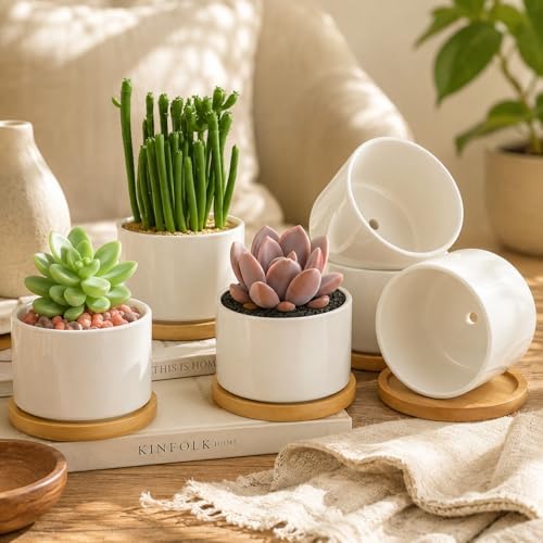 ZOUTOG 4 Pack 3.1" Ceramic Succulent Pots,White Planter with Drainage Tray - Image 6
