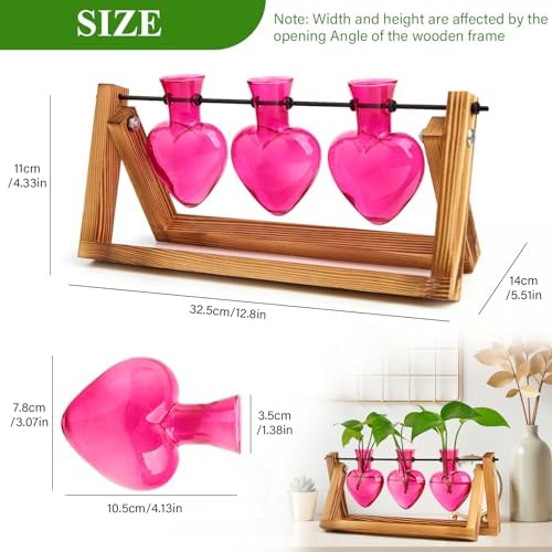 XXXFLOWER Plant Terrarium Propagation Stations 3 Heart Shaped Vases - Image 2