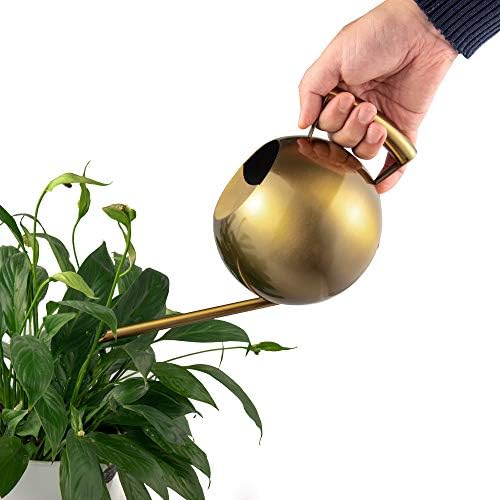IMEEA Watering Can for Indoor Plants 45oz/1.3L Stainless Steel Small Indoor Watering Can House Plants - Image 2