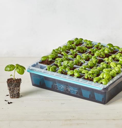 Burpee SuperSeed 36-Cell Reusable Seed Starting Tray for Indoor Seedlings - Image 6