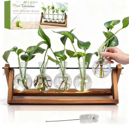 Renmxj Plant Propagation Stations with Wooden Stand & 5 Glass Bulb Vases by Renmxj
