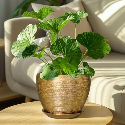 Ceramicfor Ceramic Plant Pot 8 Inch - Planter for Outdoor Plants Indoor Plant Pot with Drainage Hole and Saucer Decorative Round Planter Modern Flower Pot for House Decor Gold - Image 4