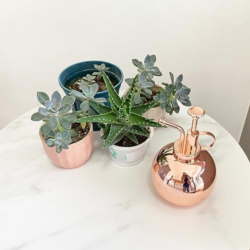 Stainless Steel Plant Sprayer, Small Watering Can Plant Misting Bottle, Modern Gardening Tools for Indoor Potted Plants Watering and Misting - Image 4