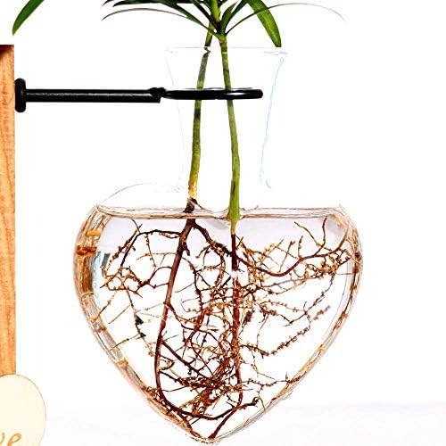Kingbuy Hydroponic Glass Vase Vintage Desktop Plant Terrarium Planter Bulb Vase Water Planting Propagation Vase Planters Hydroponics Plants with Retro Wooden Stand Home Garden. (D(1 Heart Vase)) - Image 5