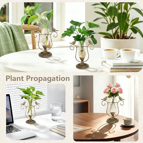 Desktop Glass Propagation Vases, Plant Terrarium with Metal Stand - Image 5