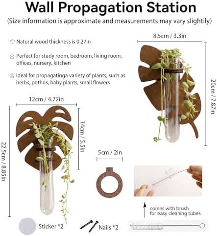 Artilady Plant Propagation Station Wall Hanging, Planter Terrariums Tube - Image 6