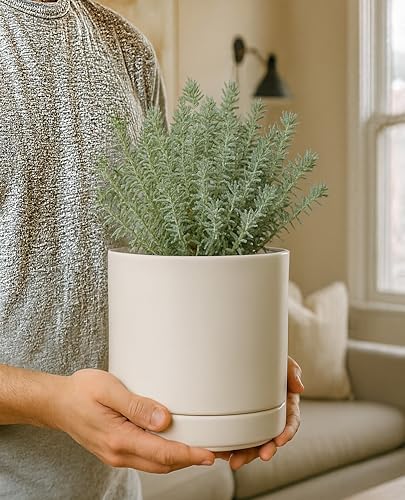 D'vine Dev 6.5 Inch Ceramic Planter Pot, Oatmeal, 94-O-C-8 - Image 6
