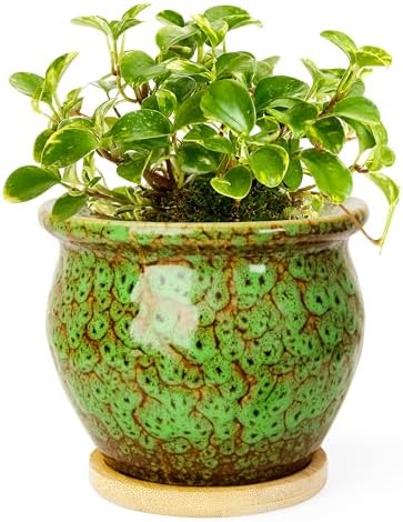 4.5 Inch Plant Pots, Small Pots for Plant Indoor, Succulent Pots with Tray by ARTKETTY