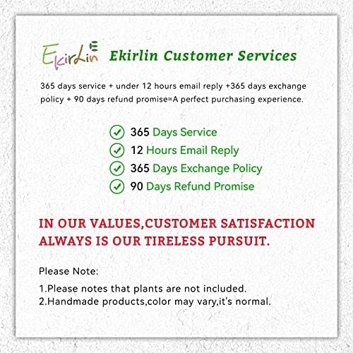 Ekirlin 7 inch Plant Pots,Ceramic Flower Planters Indoor,Modern Succulents Containers with Drain Hole Saucer,Decorate Home,Office & Outdoor (White) - Image 7