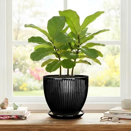 8 Inch Plant Pot, Ceramic Planter with Drainage Hole and Saucer, Modern Planters for Indoor Plants, Indoor Planter, Decorative Round Flower Pot, Apartment Decor, Plant Lover Gifts, Black - Image 7