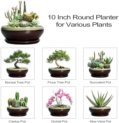 SQOWL Succulent Planters 10 Inch, Ceramic Bonsai Pots, Green-Brown - Image 7