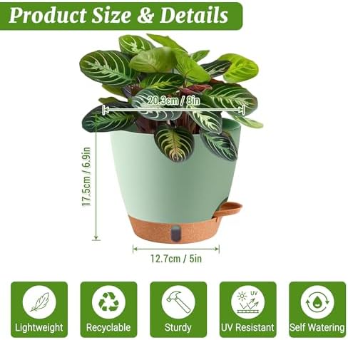 2 Pack 8 Inch Pots for Plants Indoor, Plastic Self Watering Planters - Image 3