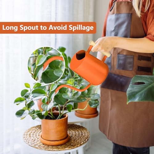 Watering Can Indoor Plants, 35oz Small Stainless Steel Metal Watering Can Modern Decorative Watering Pot with Long Spout for Indoor House Plant Bonsai Garden Flowers (Orange) - Image 2